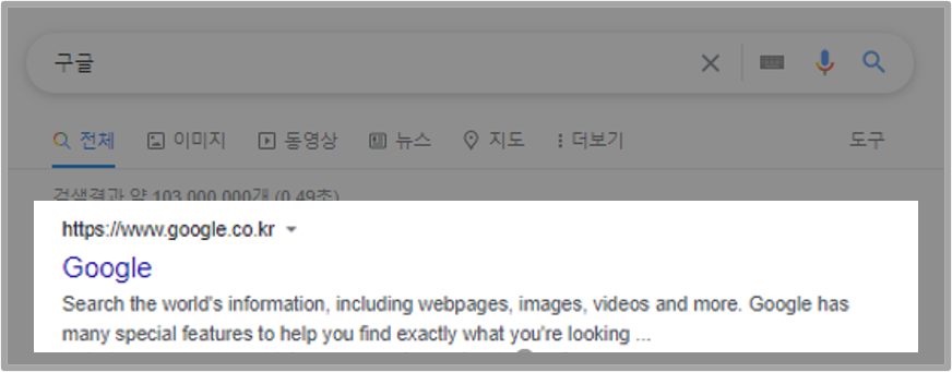 오가닉 서치 결과 이미지