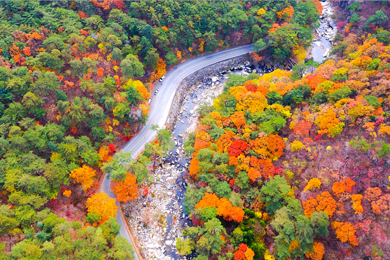가을 단풍 명소