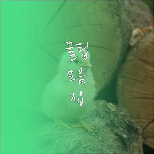 해외여행 약 챙길 때 이것 모르면 후..