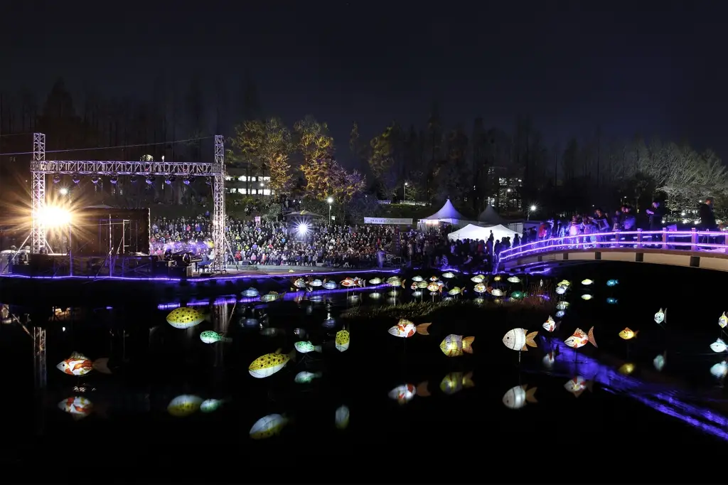 양재천 벚꽃 등축제2