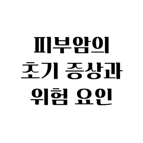 썸네일 사진