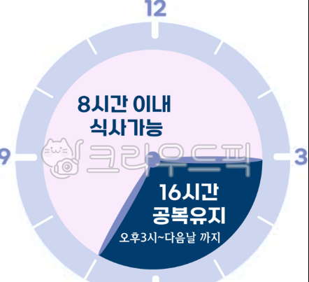 간헐적 단식 시간표 사진