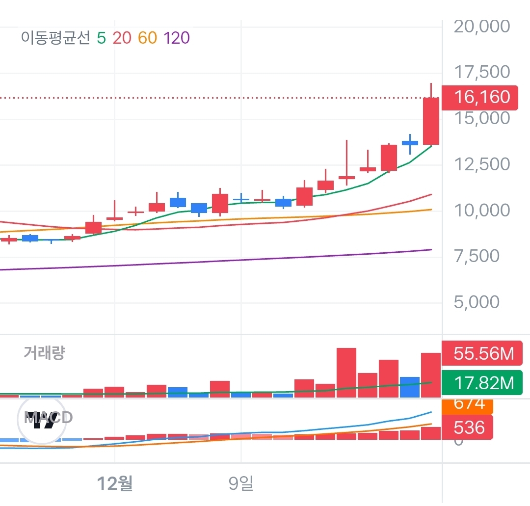 현대부벡스 일차트 분석