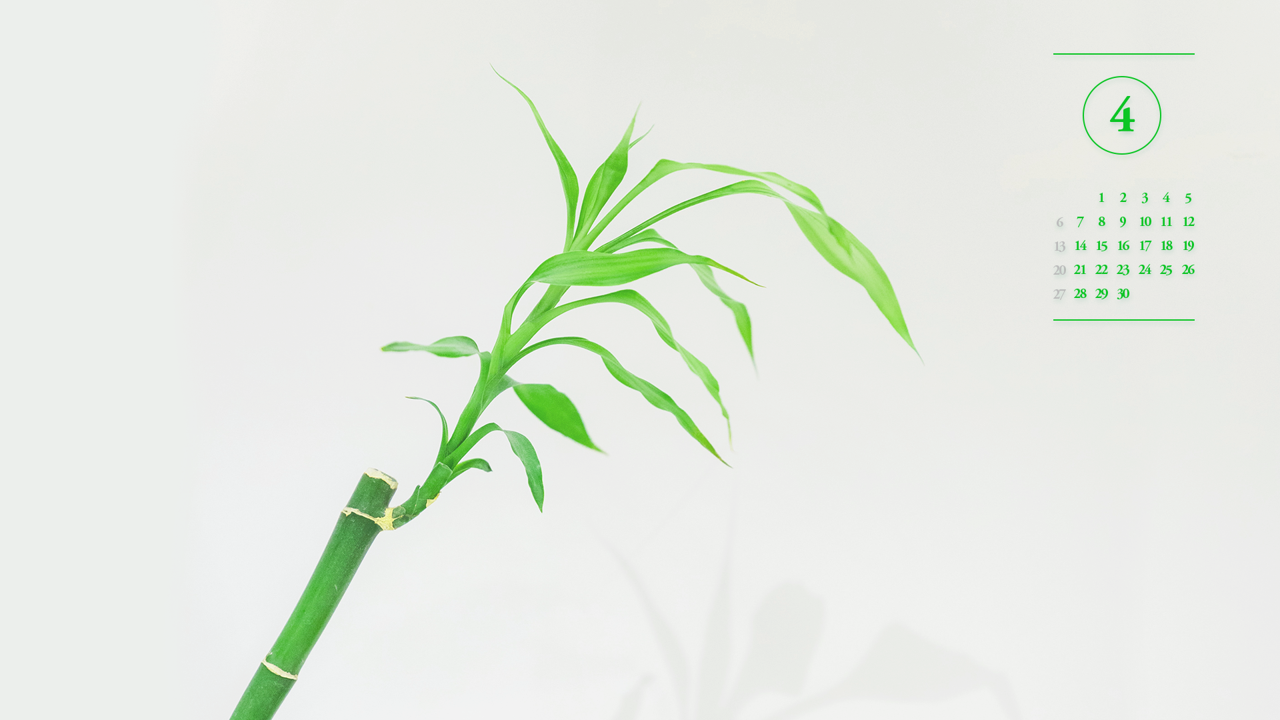 05 대나무가지 A - 2025년4월 노트북배경화면