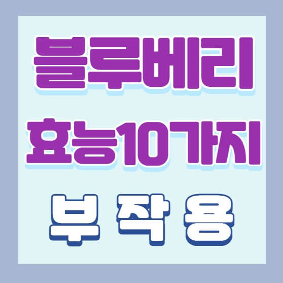 블루베리-10가지-효능-부작용