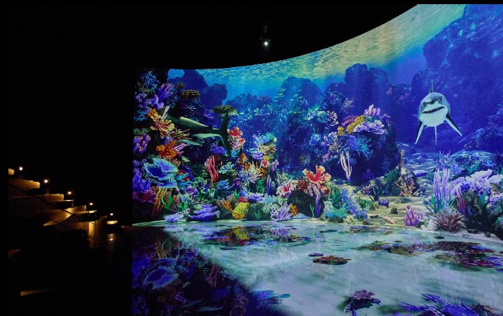 뮤지엄 딥다이브