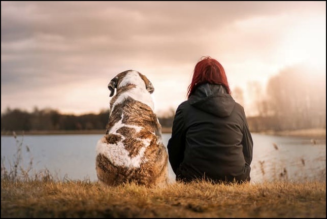 마음챙김명상하는방법