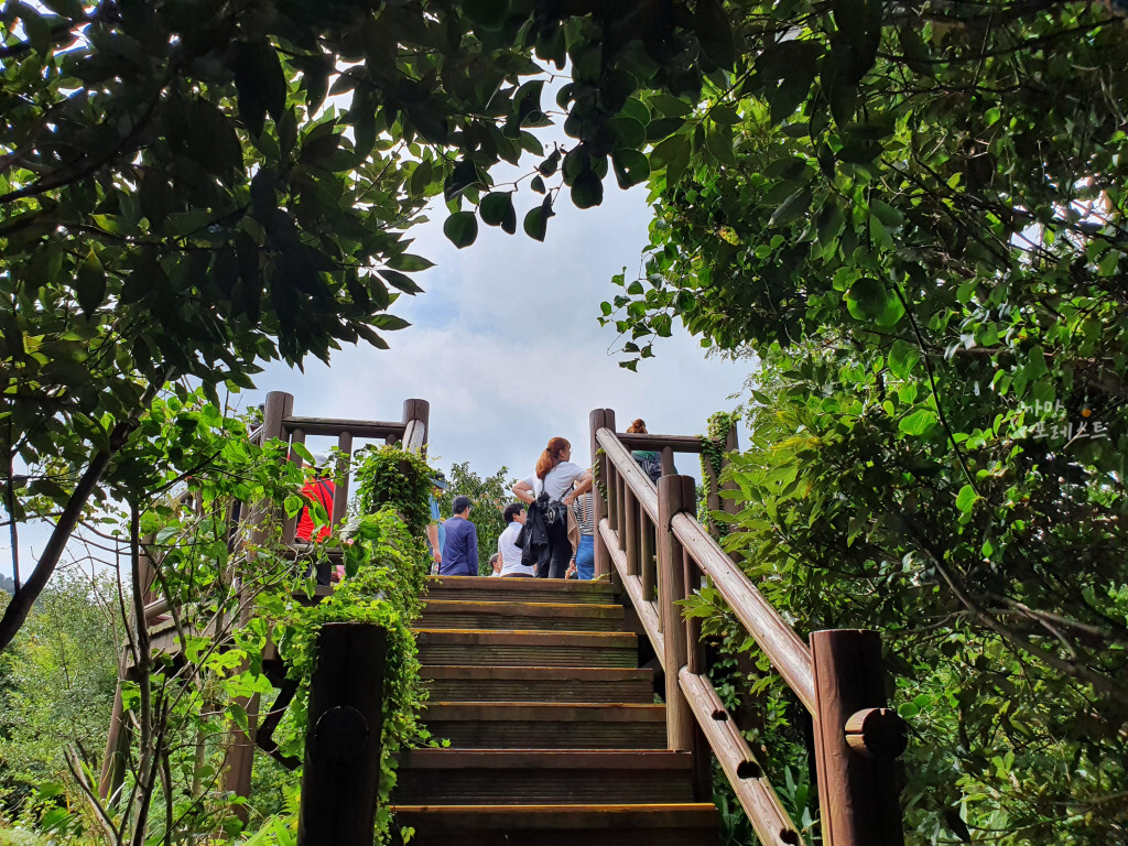 거문오름 분화구 전망대