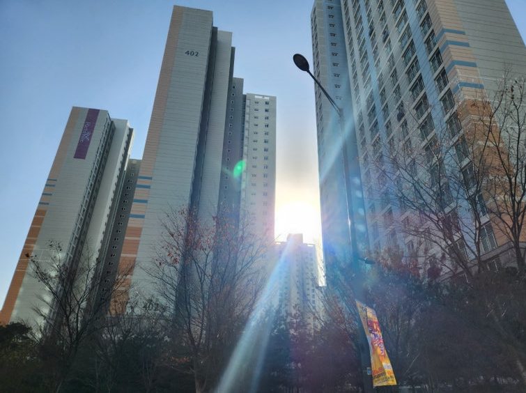 전세사기 예방 체크 3가지(등기·시세·보증보험)와 피해자 대응 가이드