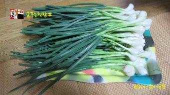 텃밭 부추 쪽파 재배 다년생 관리 수확주기 웃거름 월동_6