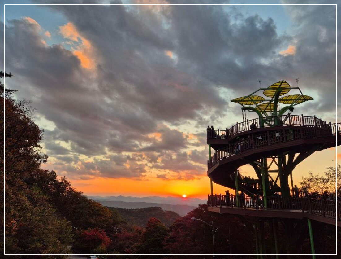 보은 가볼만한곳 베스트10 말티재 전망대