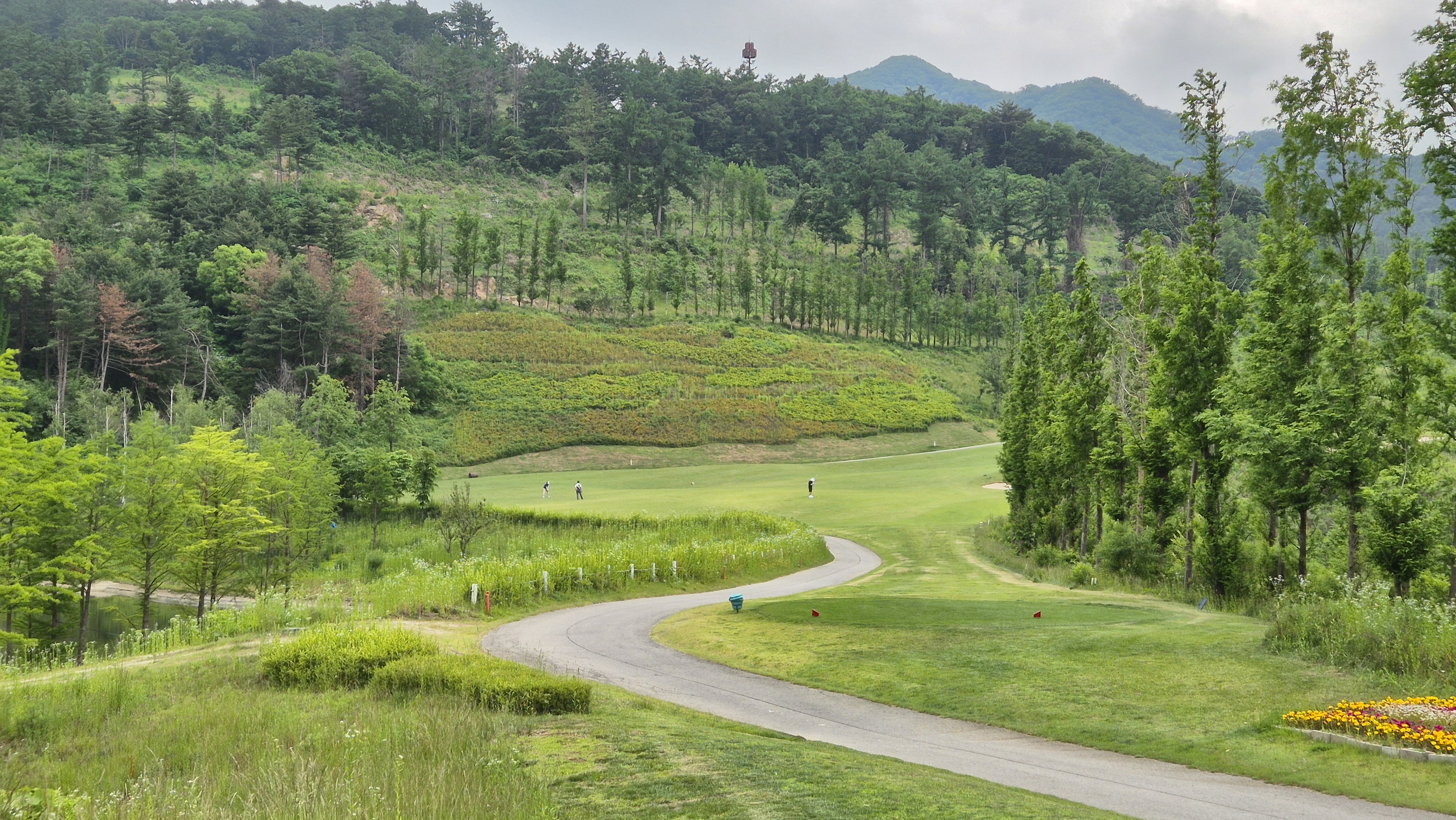 샴발라cc 라운드 후기