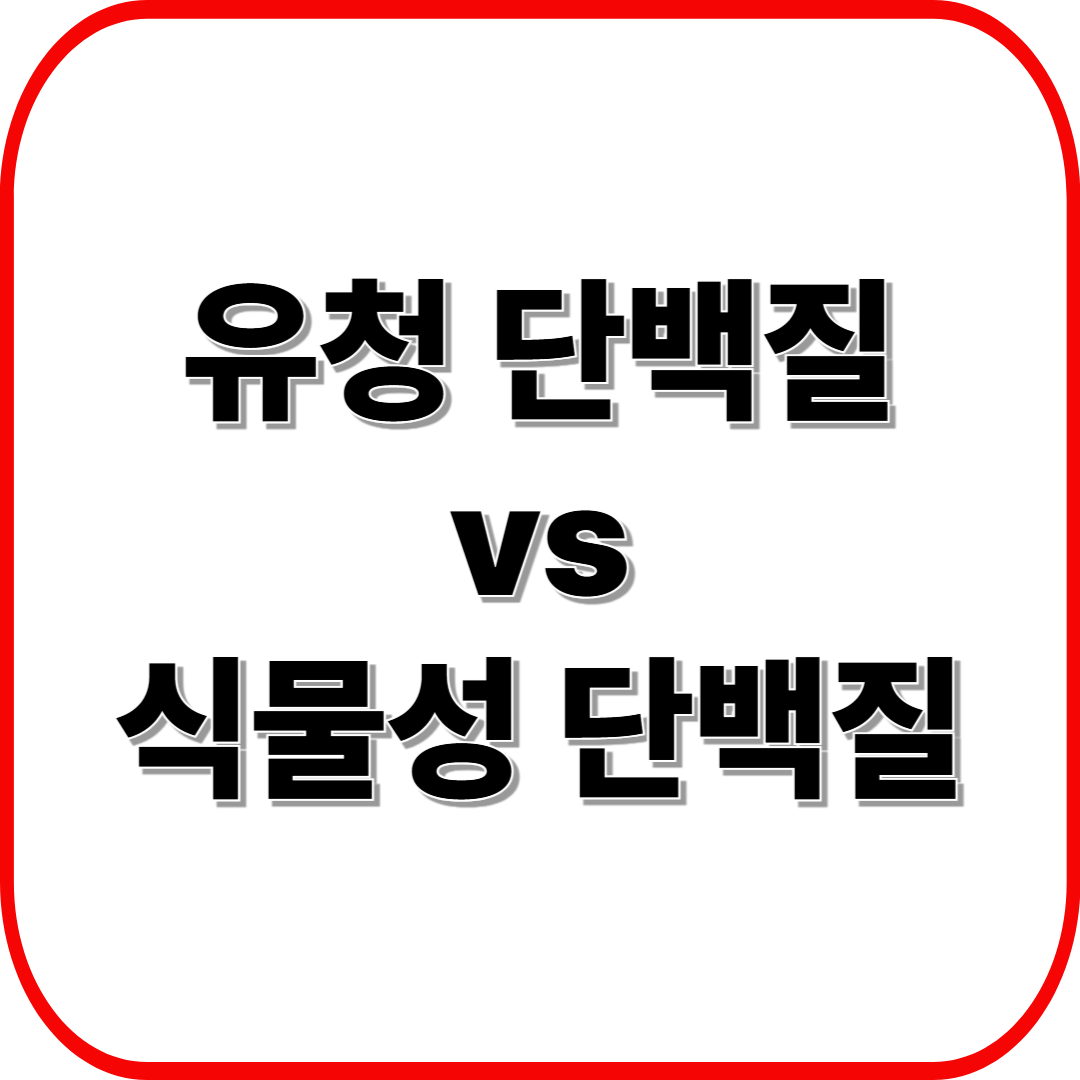유청 단백질 vs 식물성 단백질 ❘ 다이어트와 근육에 뭐가 더 좋을까?