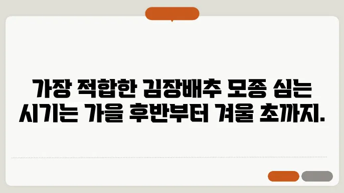 김장배추 모종 심는 시기