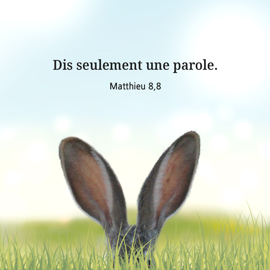 Dis seulement une parole. (Matthieu 8,8)