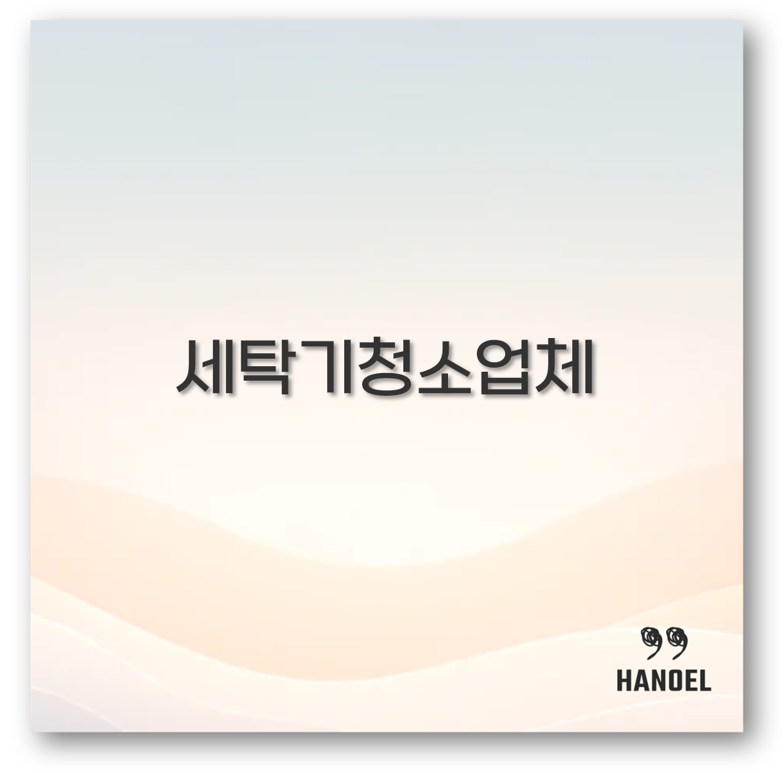 세탁기청소업체