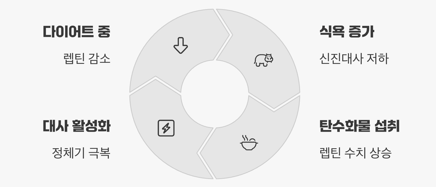 호르몬의 마법, 렙틴을 깨워라