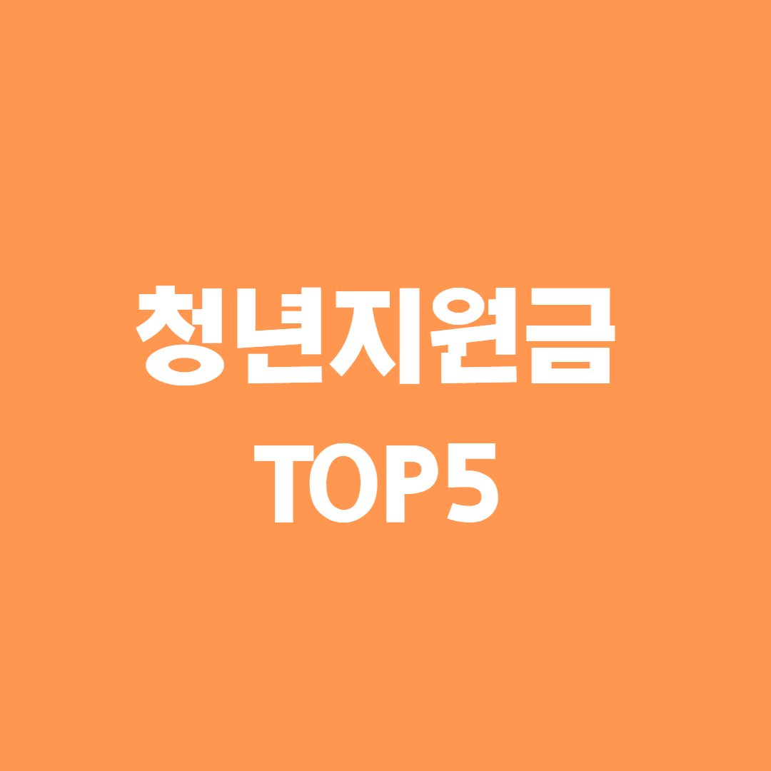청년지원금 TOP5