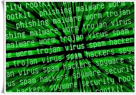 정부24 공동인증서 오류 해결법