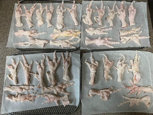 강아지_간식_만들기