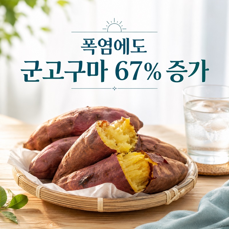 폭염에도 판매가 늘어난 군고구마와 증가
