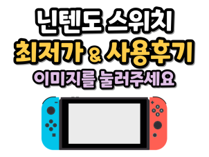 닌텐도 최저가 사진