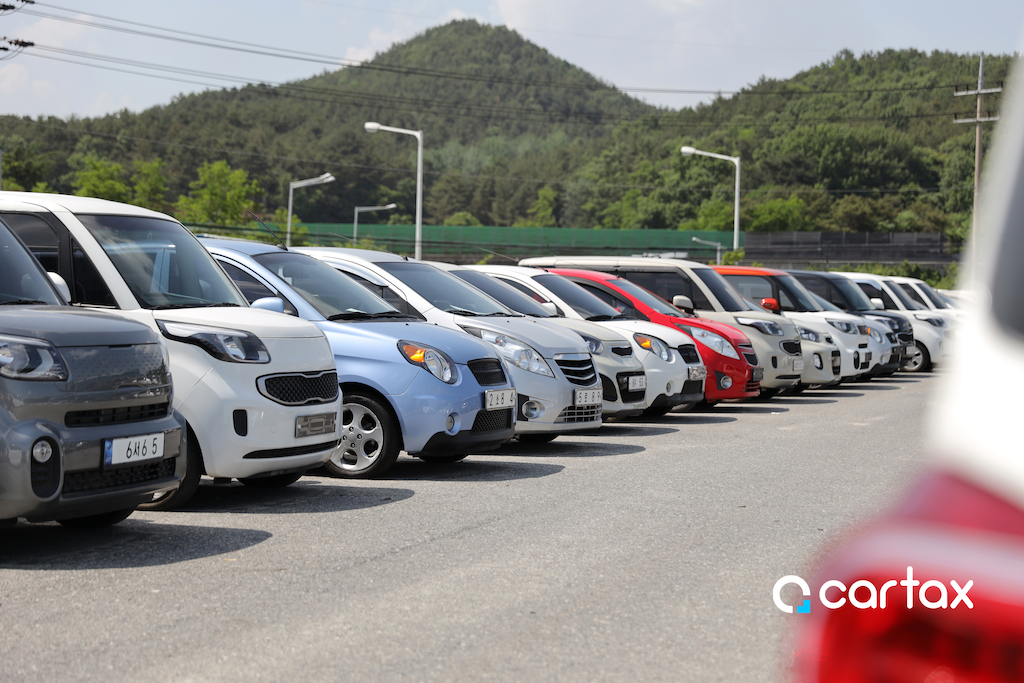 카택스케어도입