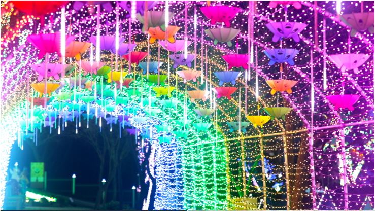 12월 겨울 여행 크리스마스 여행 빛축제 안산별빛마을