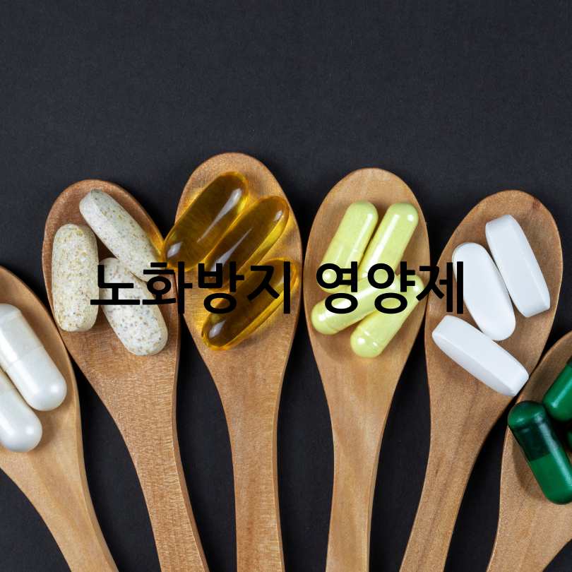 노화 방지에 좋은 영양제 추천