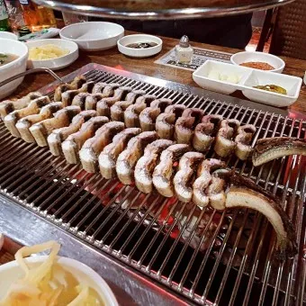 민물장어 가격 효능 민물장어 바다장어 차이 종류_23