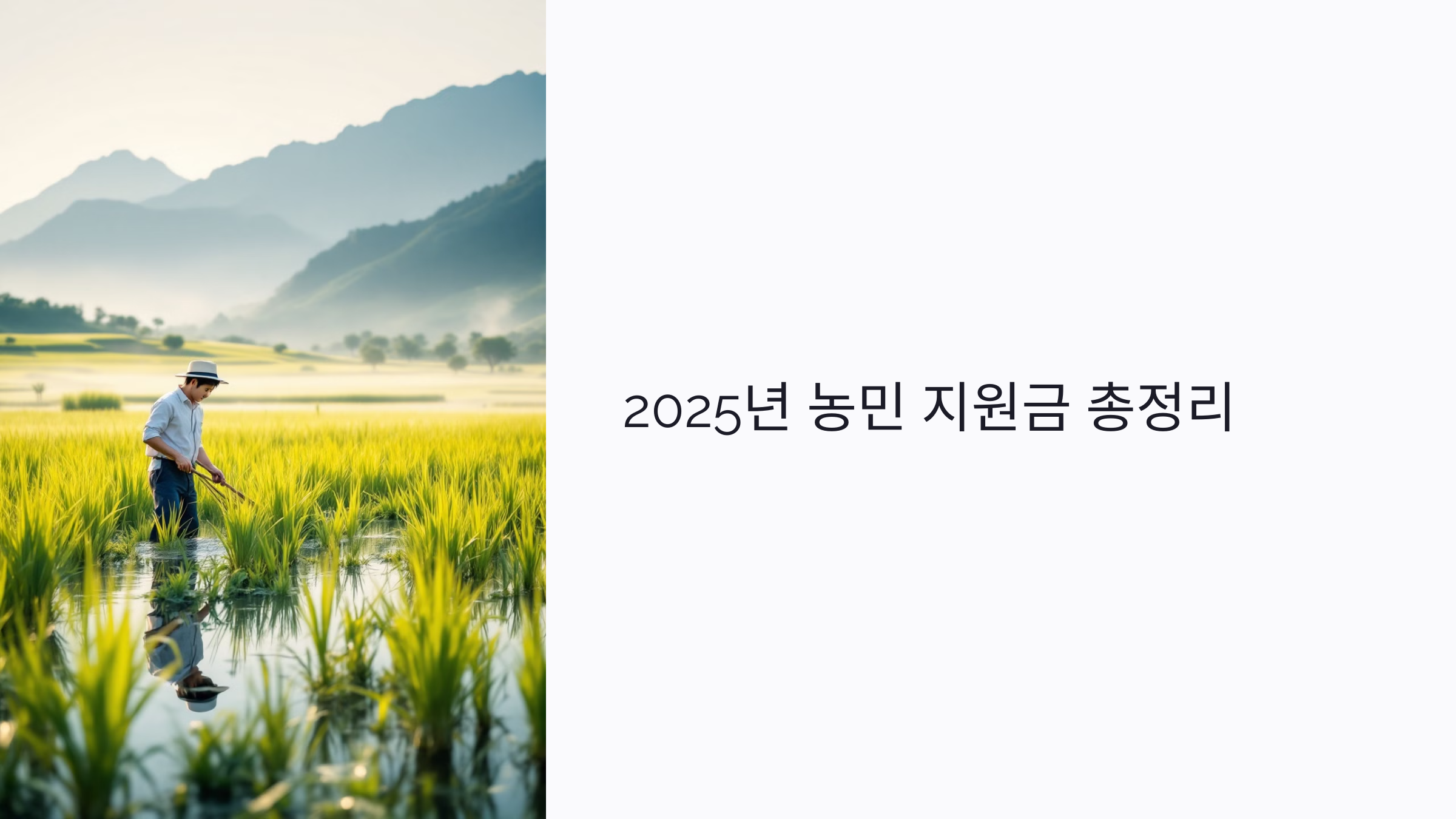 2025년 농가 기본소득 제도 총정리: 누가, 얼마나 받을 수 있나?