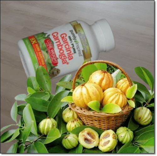 가르시니아 캄보지아 열매와 보충제