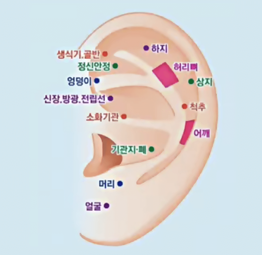 귀혈자리