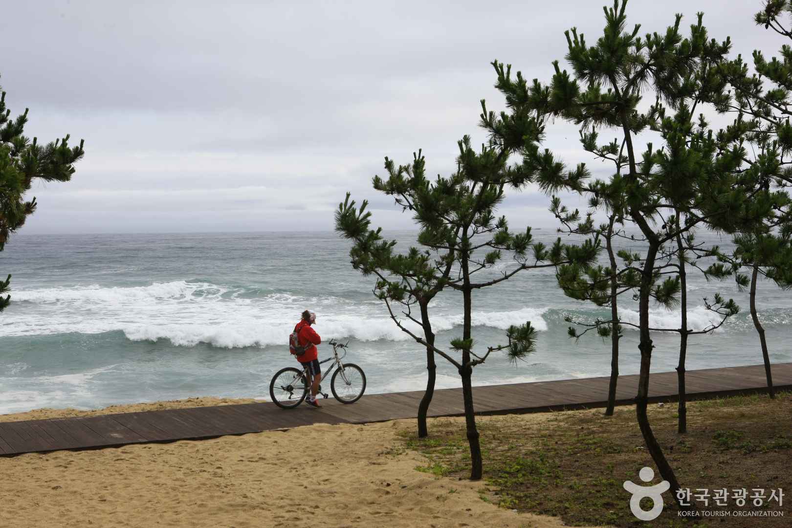 경포해변-자전거-도로