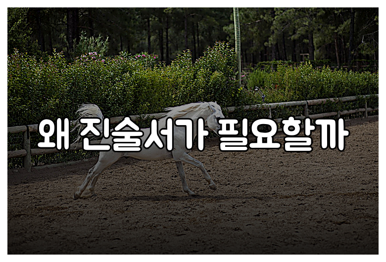 왜 진술서가 필요할까