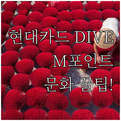 현대카드 DIVE: 디지털 문화 특화..