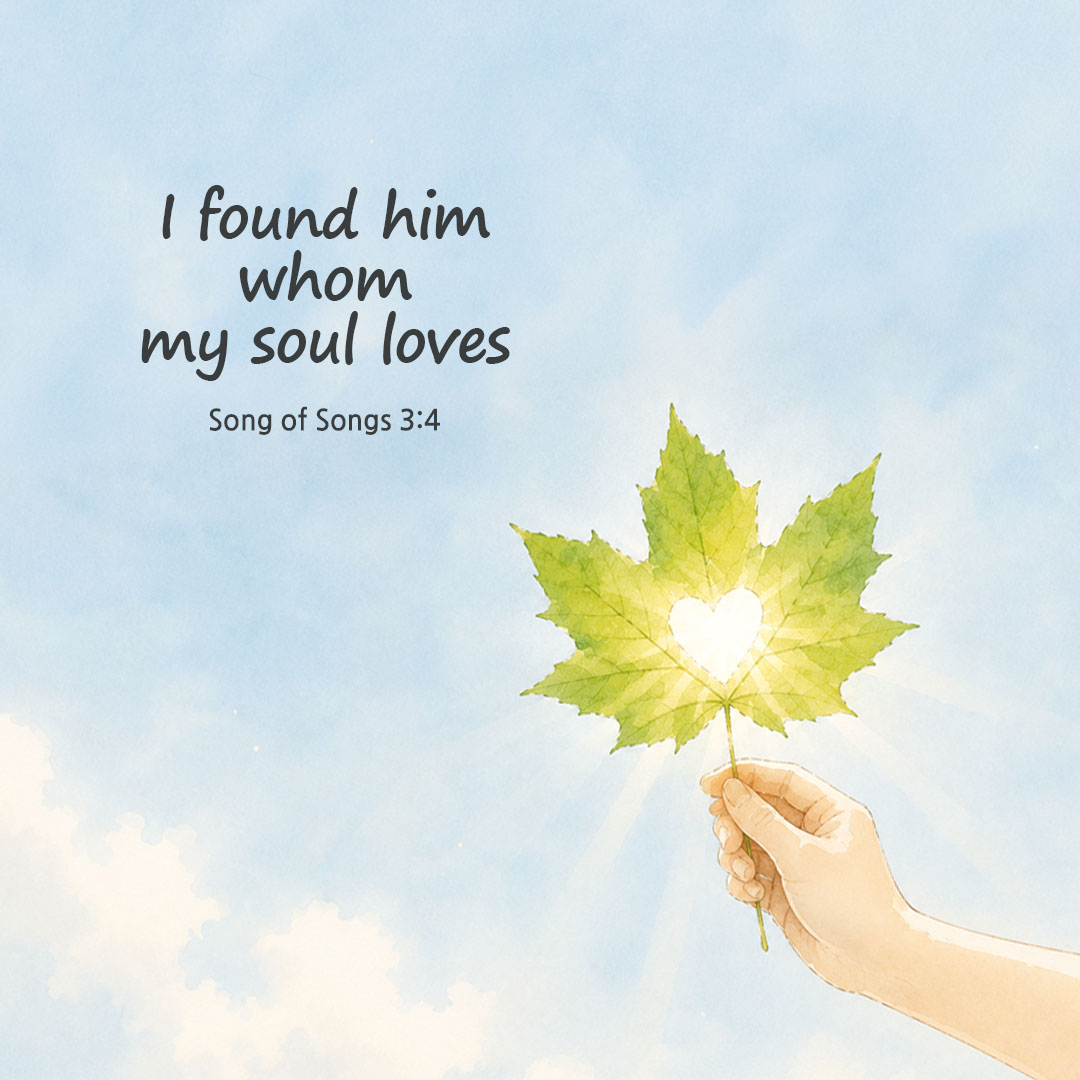 Today's Bible verse card Song of Songs 3:4 scripture image