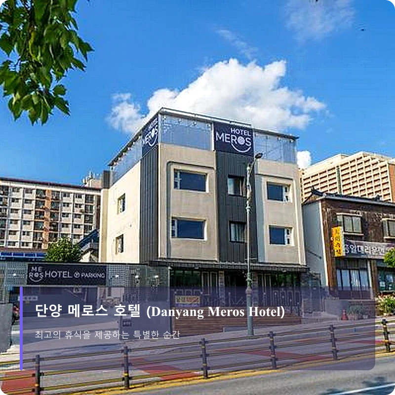 단양 메로스 호텔 (Danyang Meros Hotel)_1