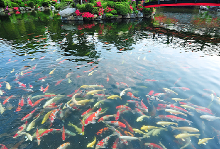 세종 베어트리파크 수목원