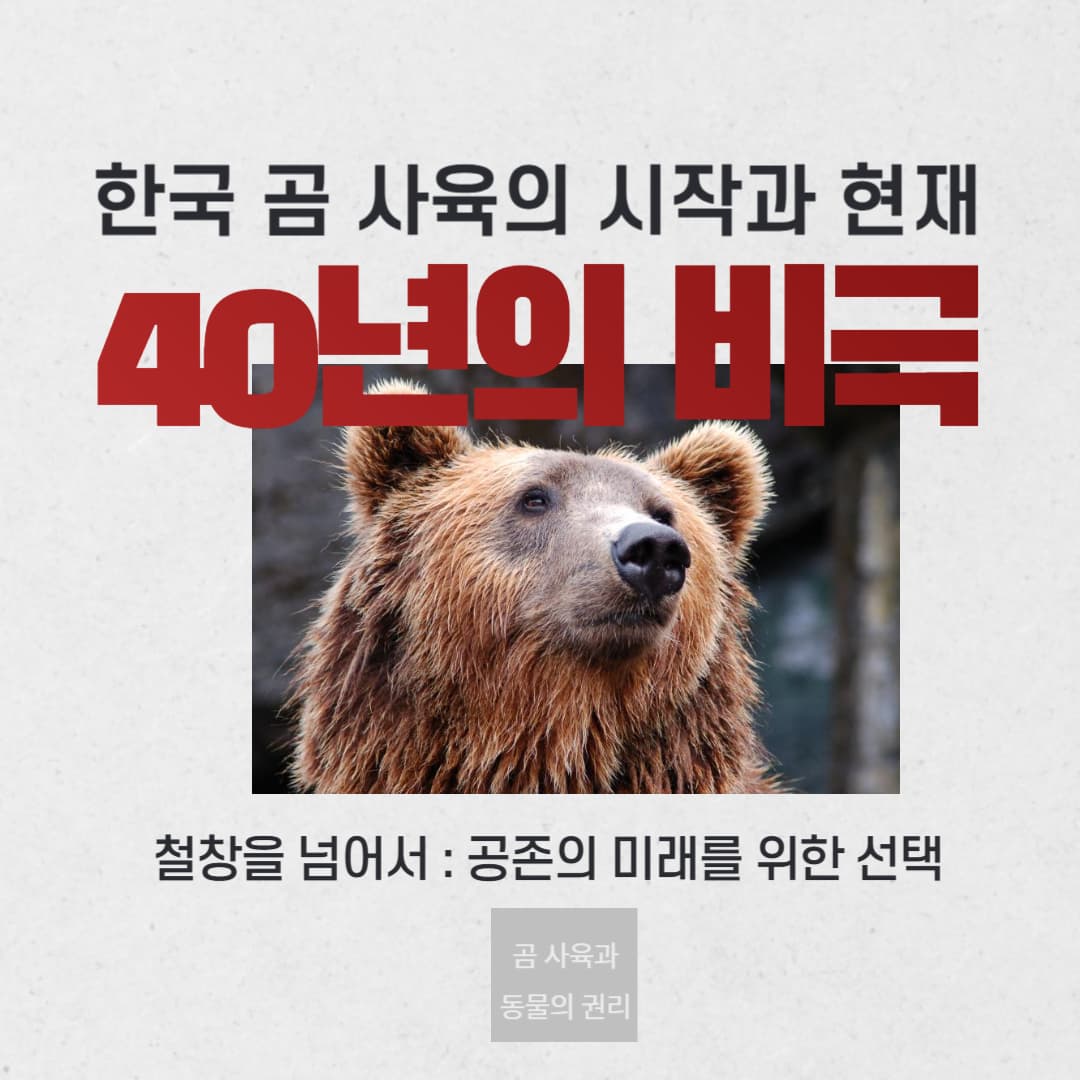 한국 곰 사육의 시작과 현재 : 40년의 비극