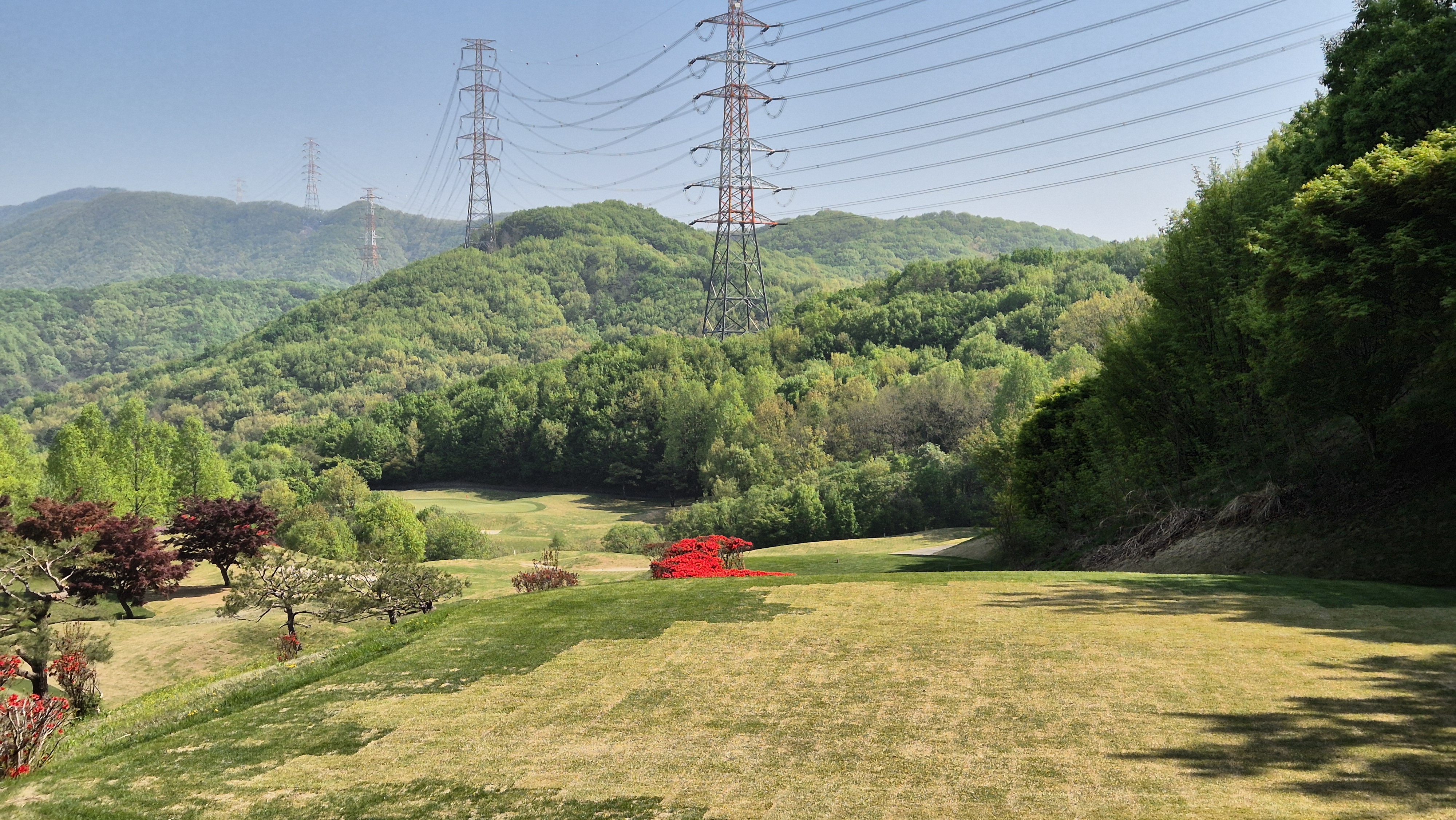 마에스트로cc 코스