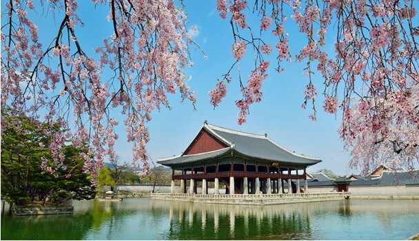 경복궁의 봄