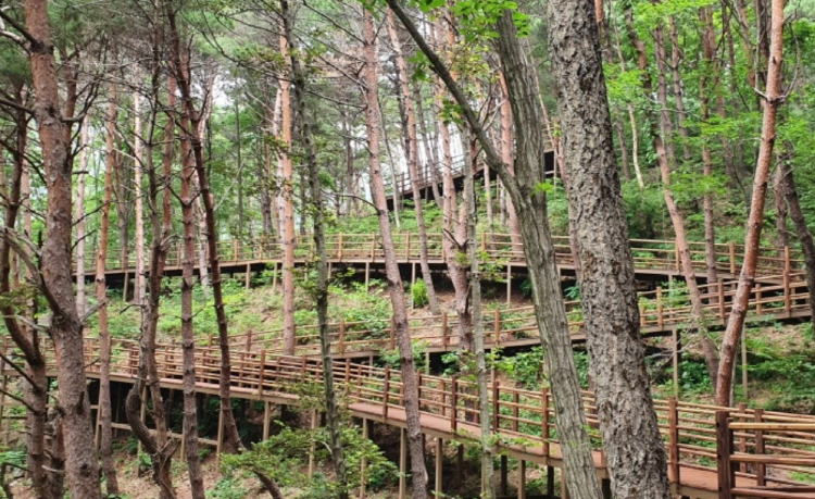 거창 항노화힐링랜드