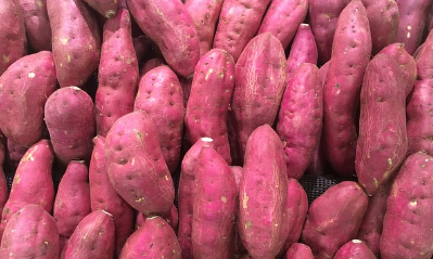 9월 제철 음식, 9월 제철 해산물