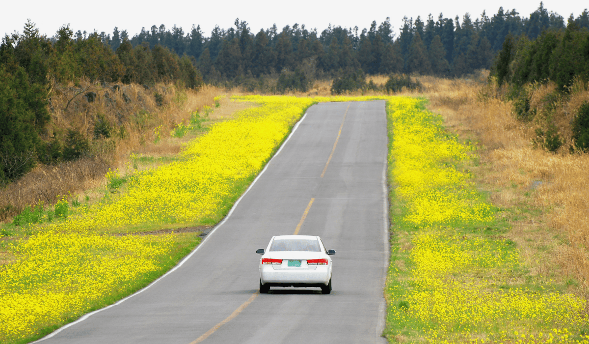 그랜저_중고차_가격시세표_7