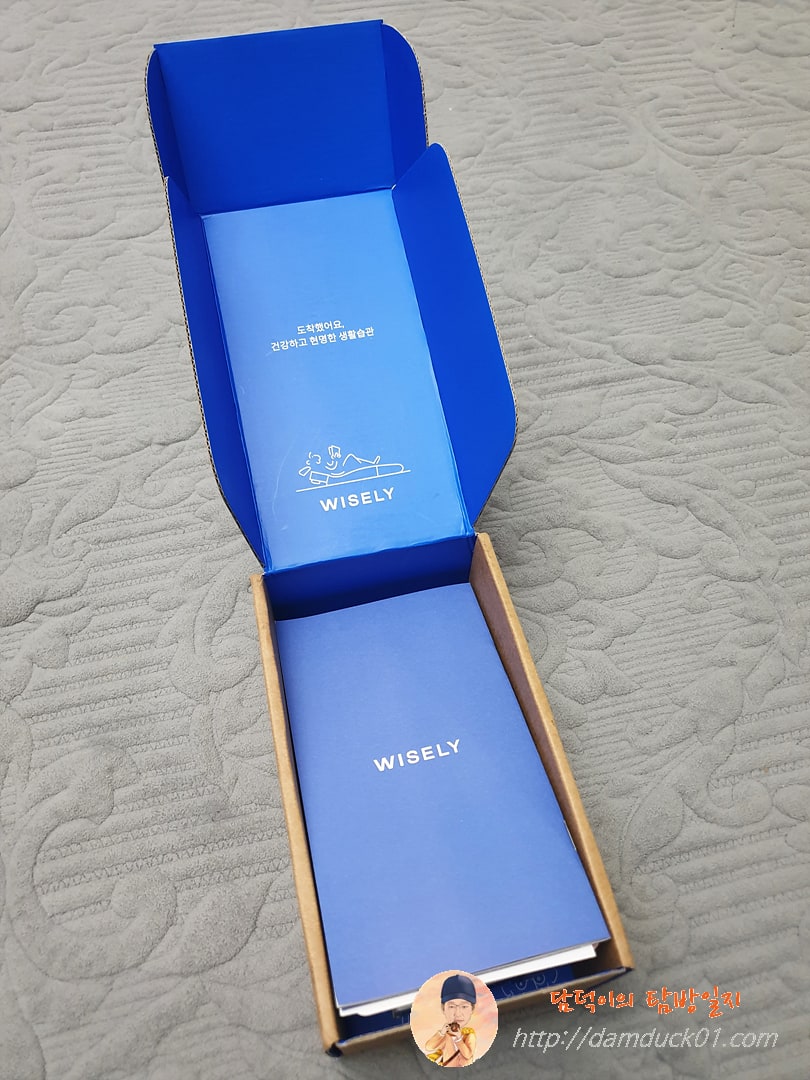 와이즐리 스타터 세트 개봉