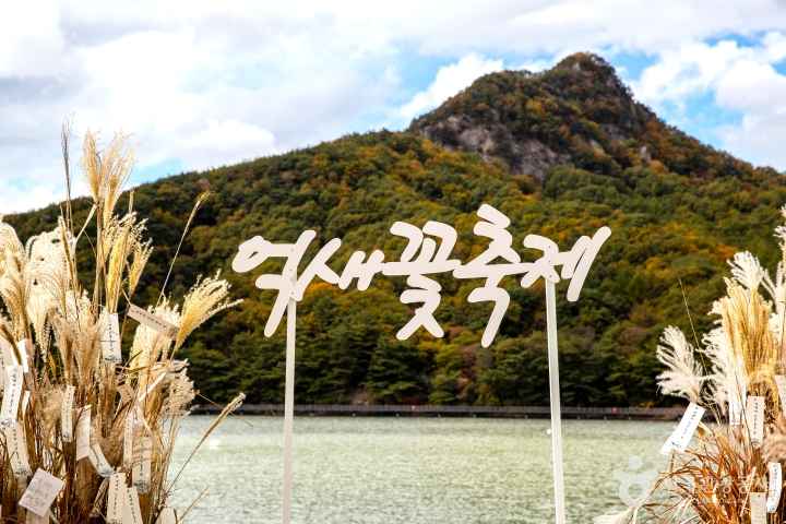 억새명소&amp;#44; 핑크뮬리명소&amp;#44; 무릎편한가을여행&amp;#44; 하늘공원억새&amp;#44; 신정호수공원&amp;#44; 갯골생태공원&amp;#44; 산정호수둘레길&amp;#44; 가산수피아&amp;#44; 서울억새축제&amp;#44; 가을꽃구경&amp;#44; 어르신가을여행&amp;#44; 부모님가을나들이&amp;#44; 평지산책로&amp;#44; 2026억새&amp;#44; 하늘공원전기차&amp;#44; 맹꽁이전기차&amp;#44; 핑크뮬리시기&amp;#44; 억새절정시기&amp;#44; 갯골생태공원핑크뮬리&amp;#44; 댑싸리&amp;#44; 아산가볼만한곳&amp;#44; 시흥가볼만한곳&amp;#44; 포천가볼만한곳&amp;#44; 칠곡가볼만한곳&amp;#44; 수도권억새명소&amp;#44; 무료가을여행지&amp;#44; 무장애산책로&amp;#44; 가을산책코스&amp;#44; 시니어여행&amp;#44; 황금길가이드