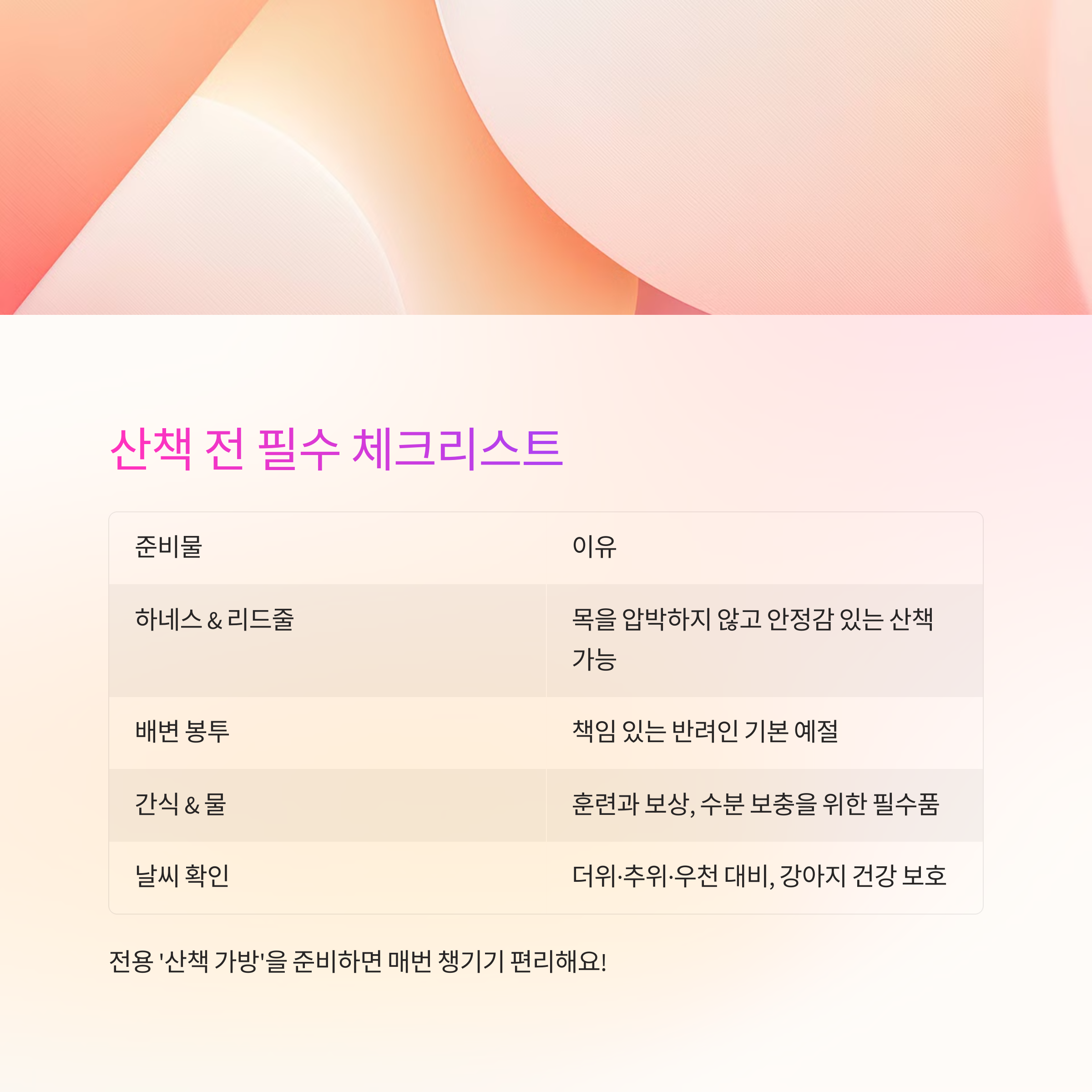 산책 전 체크리스트