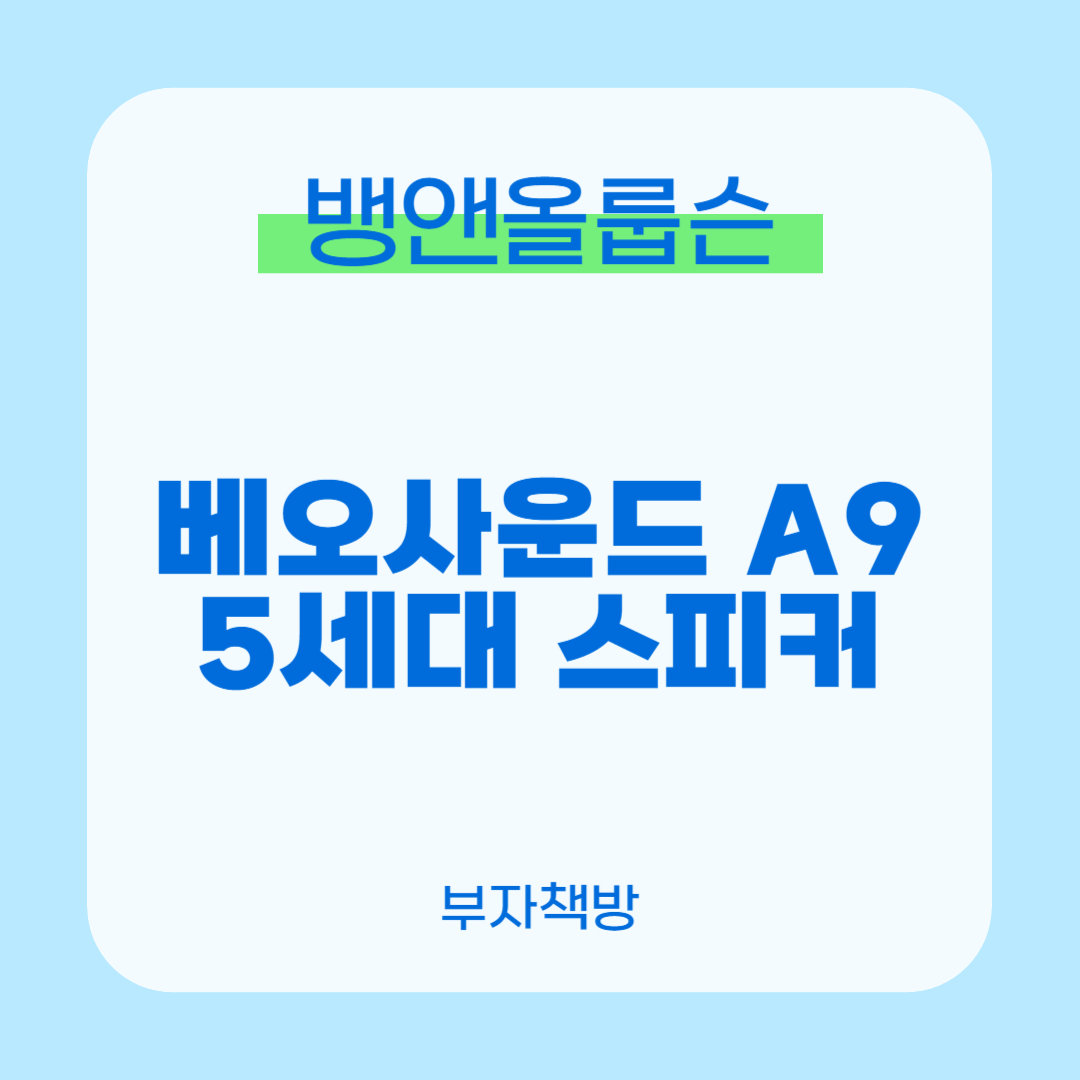 뱅앤올룹슨 베오사운드 A9(0)