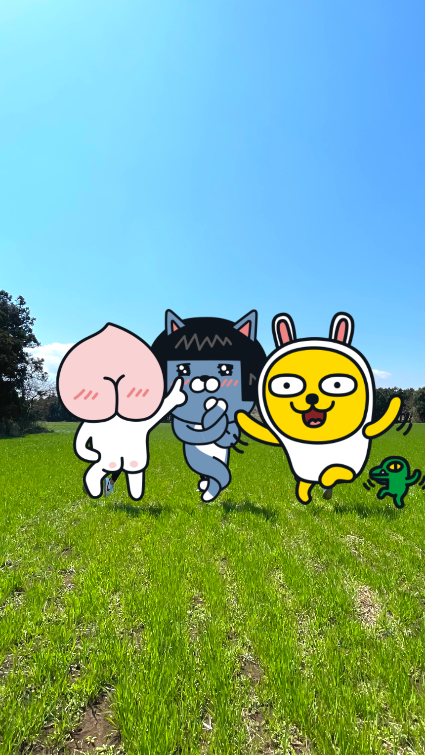 비밀의 숲 목초지6